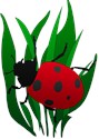 ladybugRed